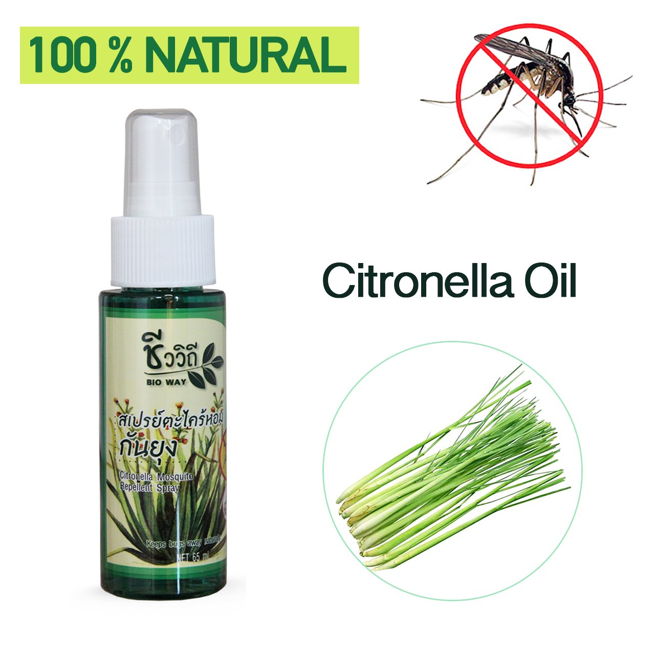 Mosquito Insect Repellent Spray Natural Citronella Oil Killer New Mesh Net Fly Ebay